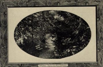 Fragment Parku Miejskiego