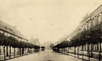 Dawniej bardzo zielona ulica 1 Maja